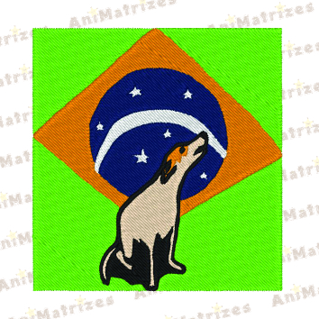 Copa do Mundo - 6