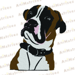 Cachorro - Boxer