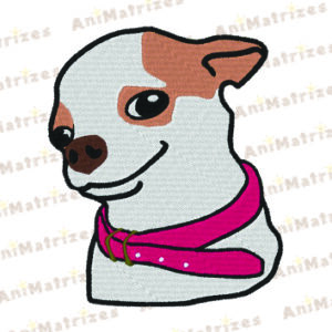 Cachorro - Pinscher 1