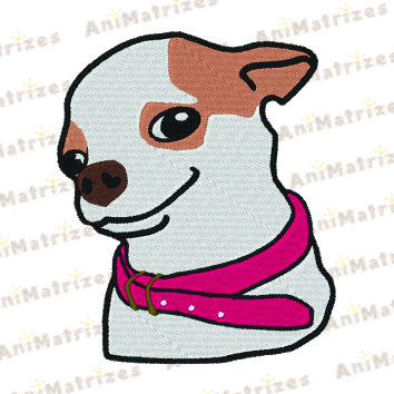 Cachorro - Pinscher 1