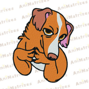 Cachorro - Vira Lata 3